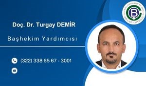 Turgay Demir